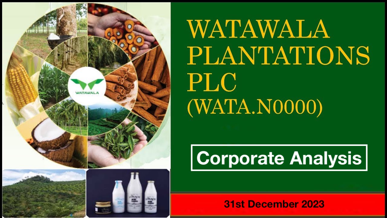 Watawała Plantations PLC: Corporate Analysis