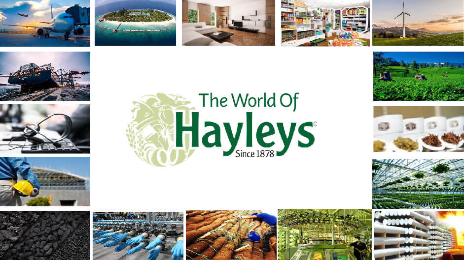 Hayleys PLC reports 46% decline in profits for year ended 31st March 2024