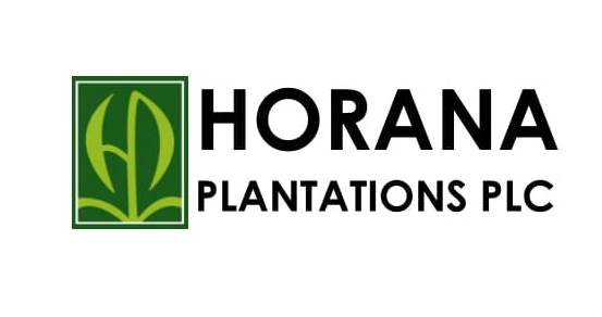 Horana Plantations PLC: Financial Performance as at 31st March 2024