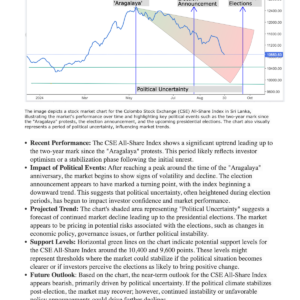 Stock Market Outlook (Sept 2024)