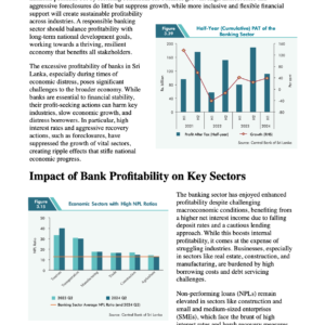 Banking Sector Profitability at what cost?