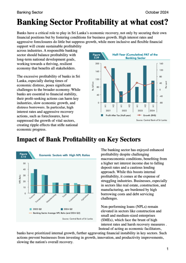 Banking Sector Profitability at what cost?