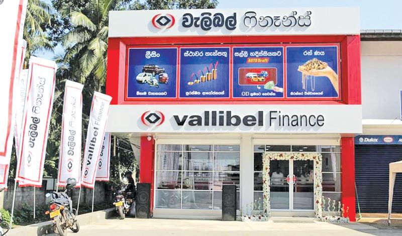 Vallibel Finance Shows Strong Profitability Amid Mixed Revenue Trends