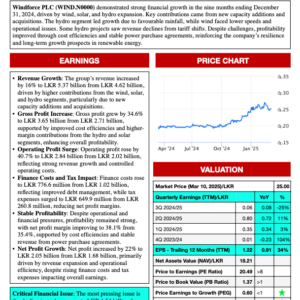 Windforce PLC (3Q 2024/25)